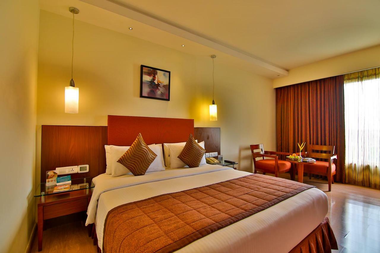 Executive Double Room on Laundry & on Food,816261446:JPEG