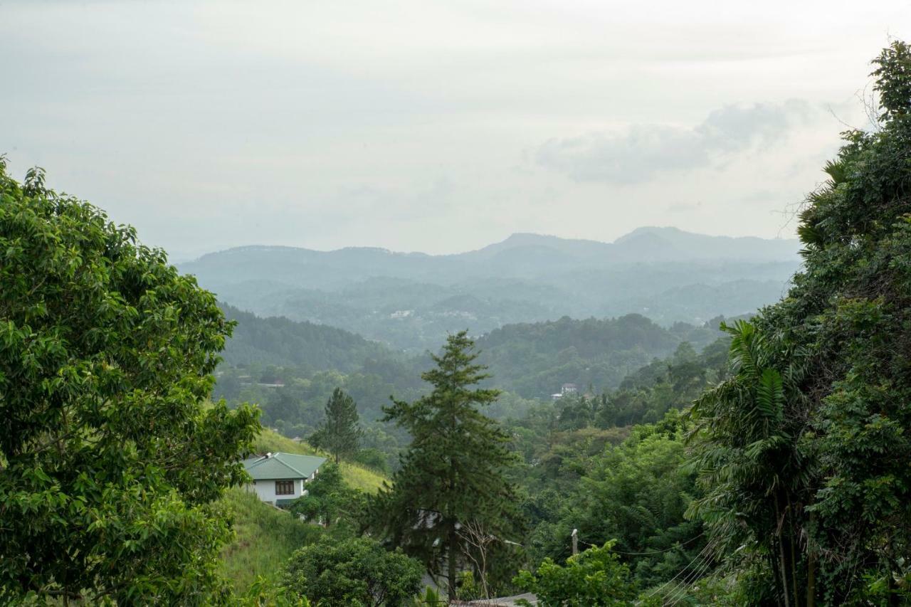Deluxe Double or Twin Room with Mountain View