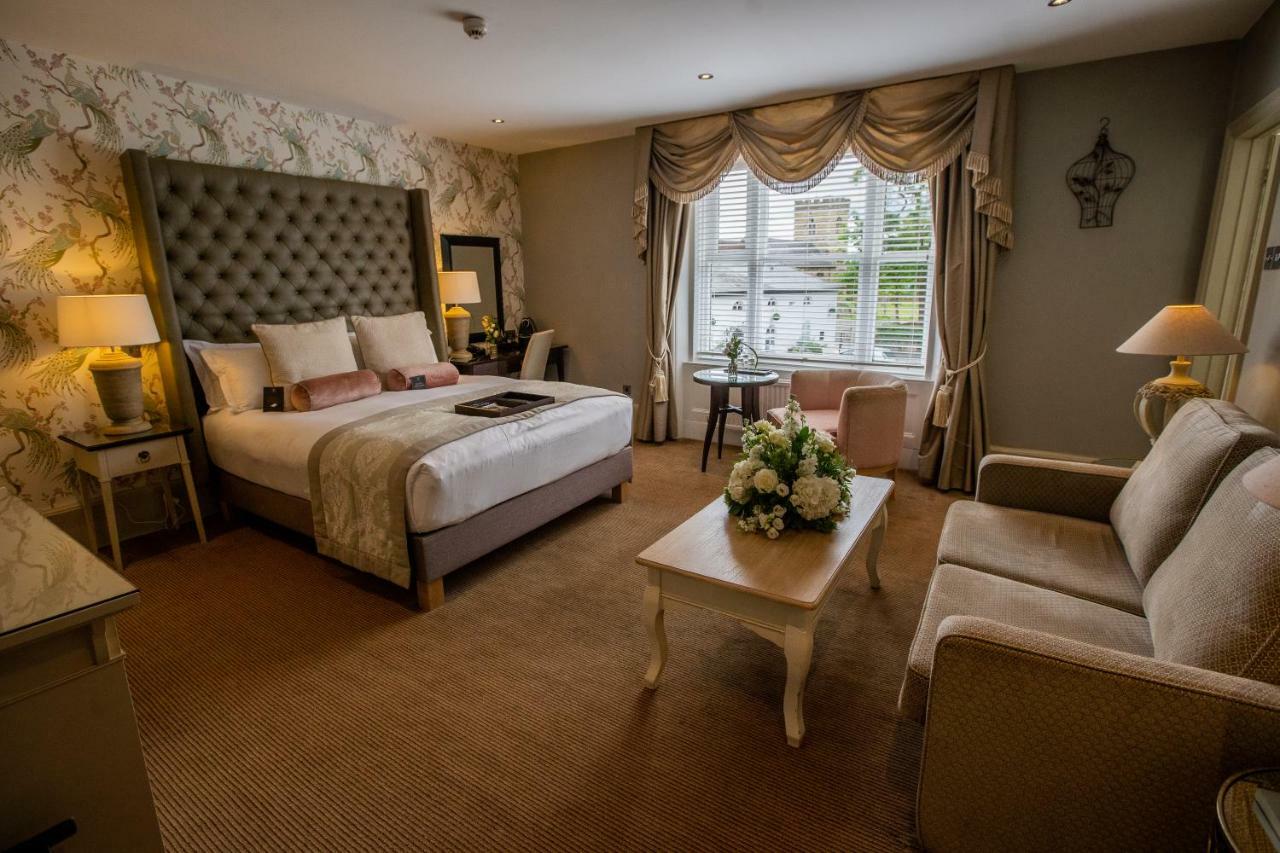 Junior King Suite with Sofa Bed