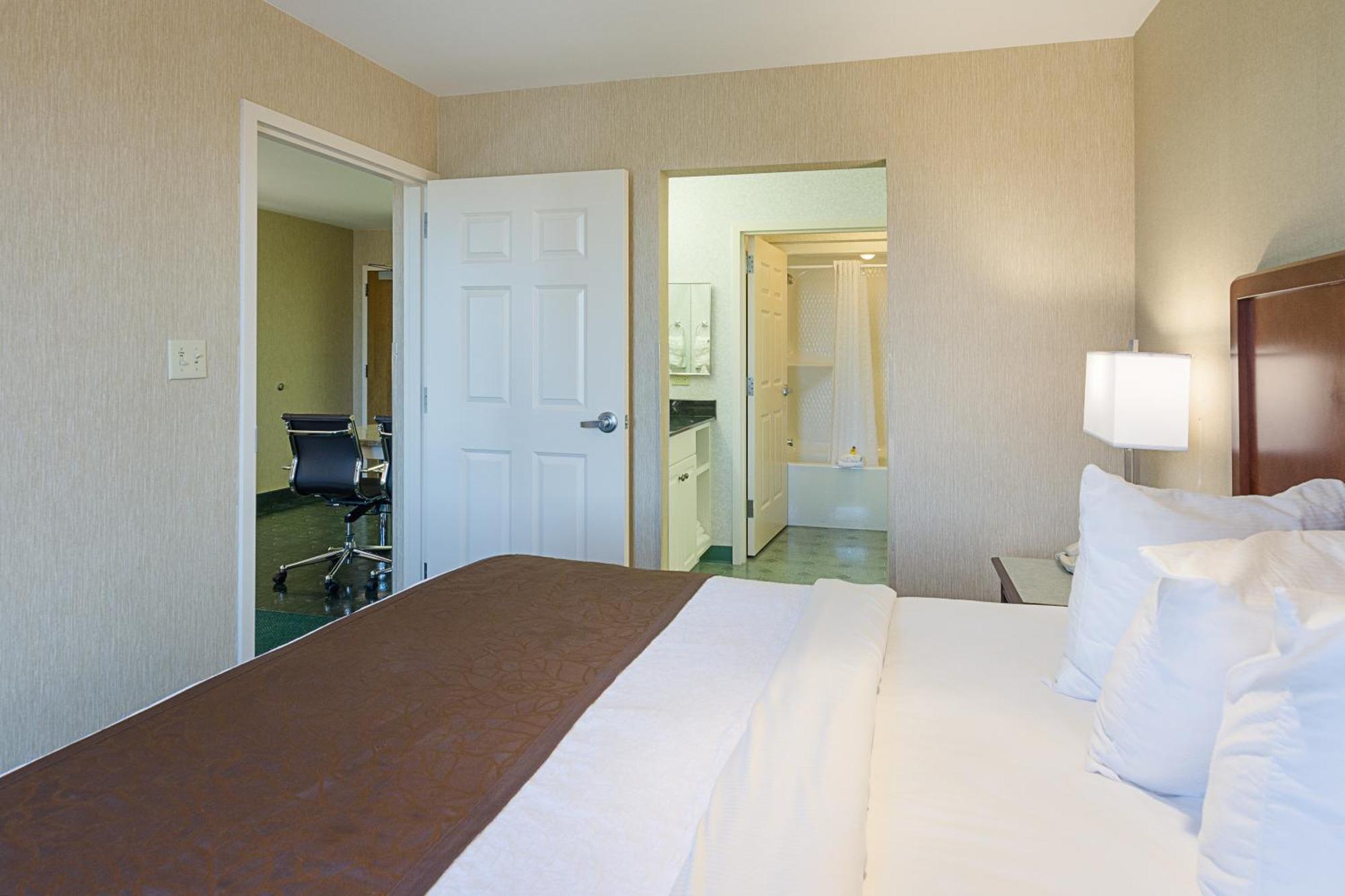 One-Bedroom King Suite - Non-Smoking