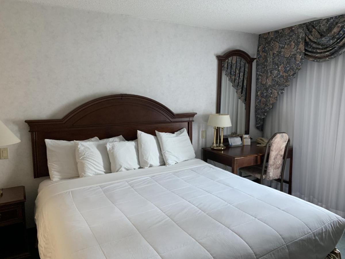 King Room - Non-Smoking