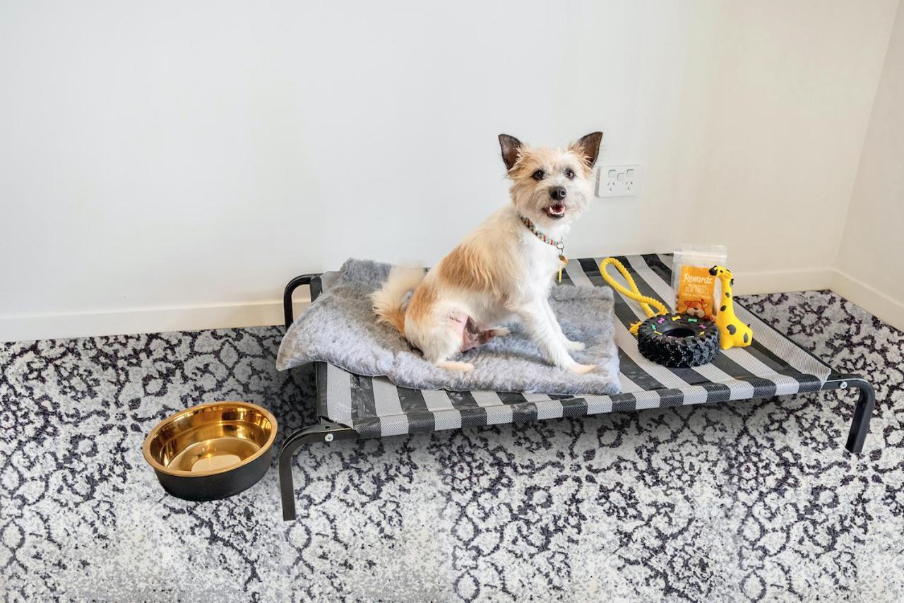 Studio (Pet friendly)