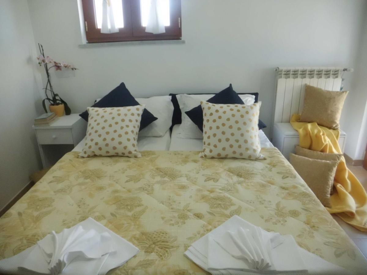 Standard Single Room with Sea View