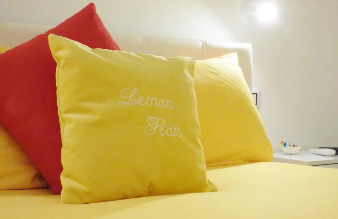 B&B Lemon Flats-1