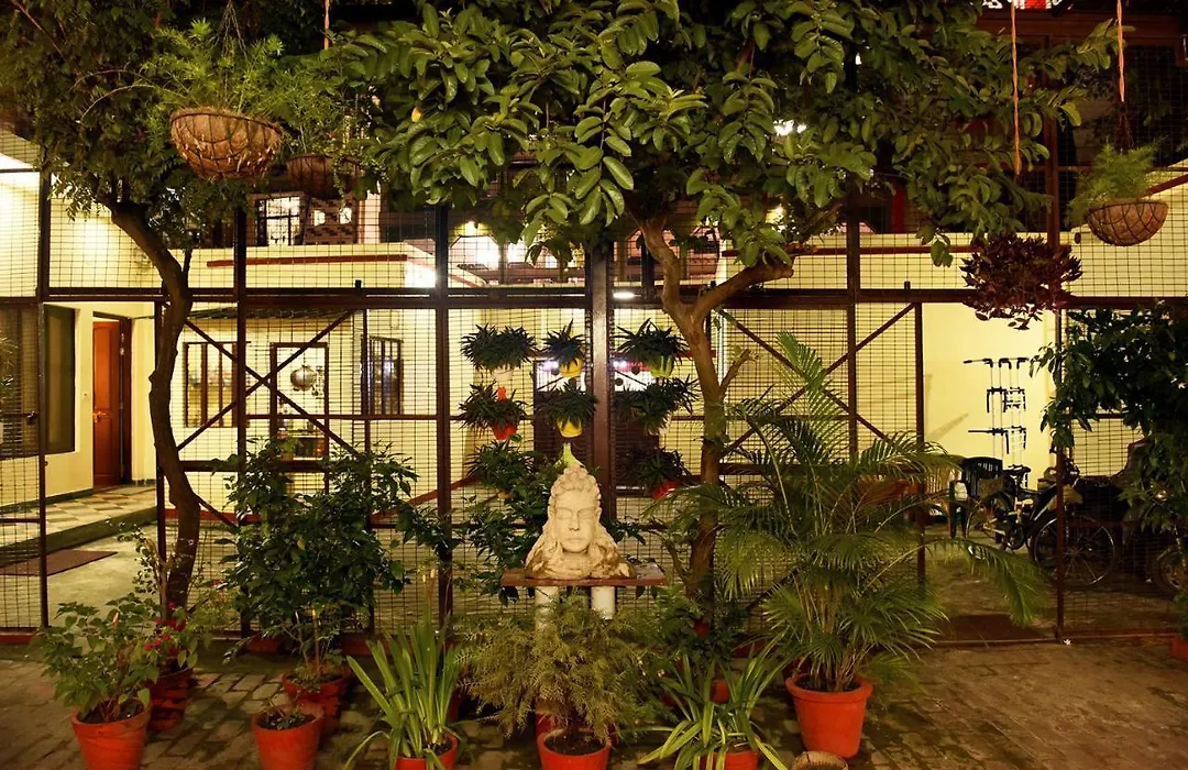 Patnimal Guesthouse-1