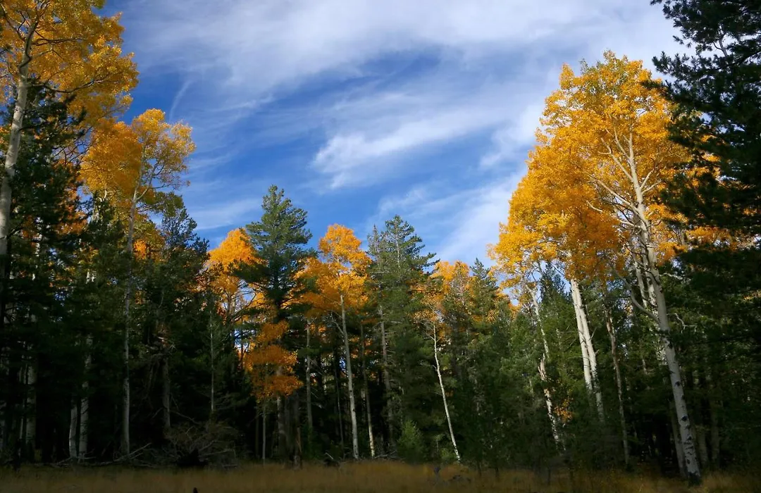 Sedona Cathedral Hideaway Llc-1