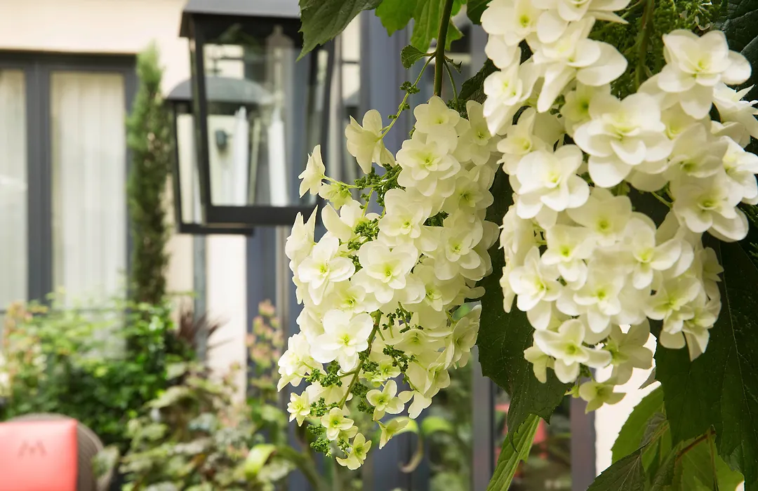 Hotel Villa Madame - Saint-Germain-Des-Pres-1