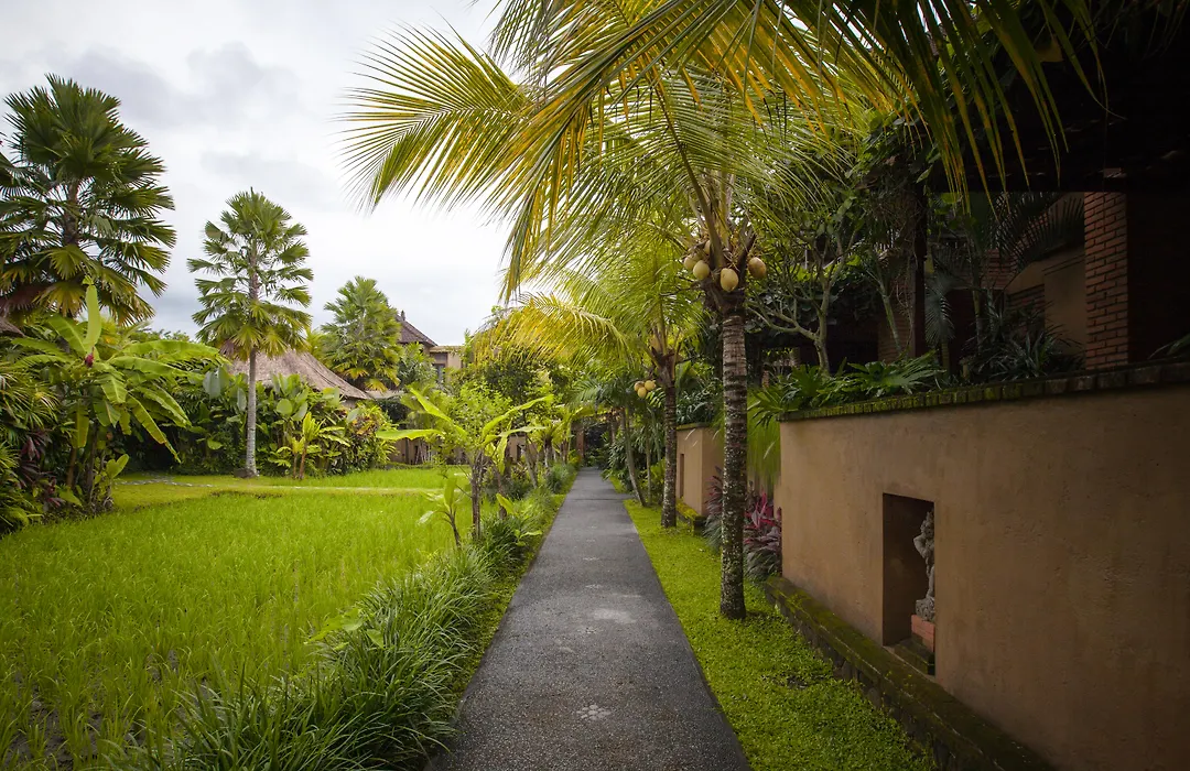 Bebek Tepi Sawah Restaurant & Villas-1
