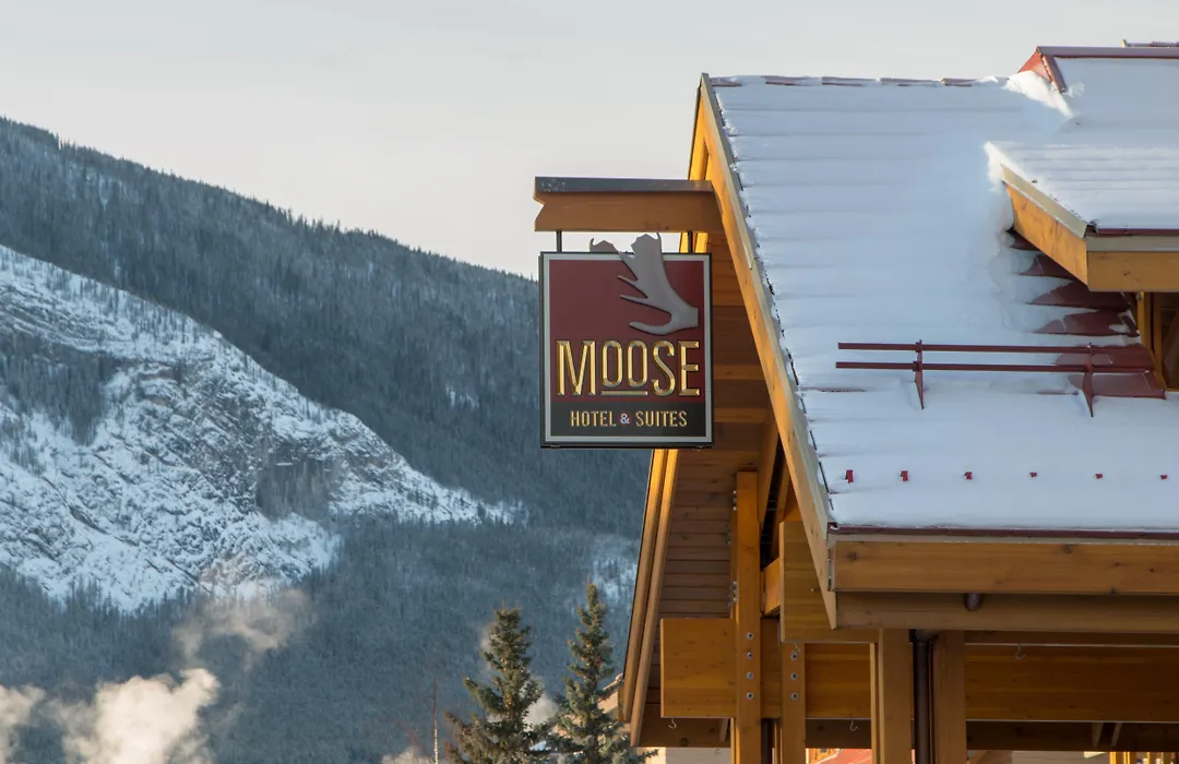 Moose Hotel And Suites-1