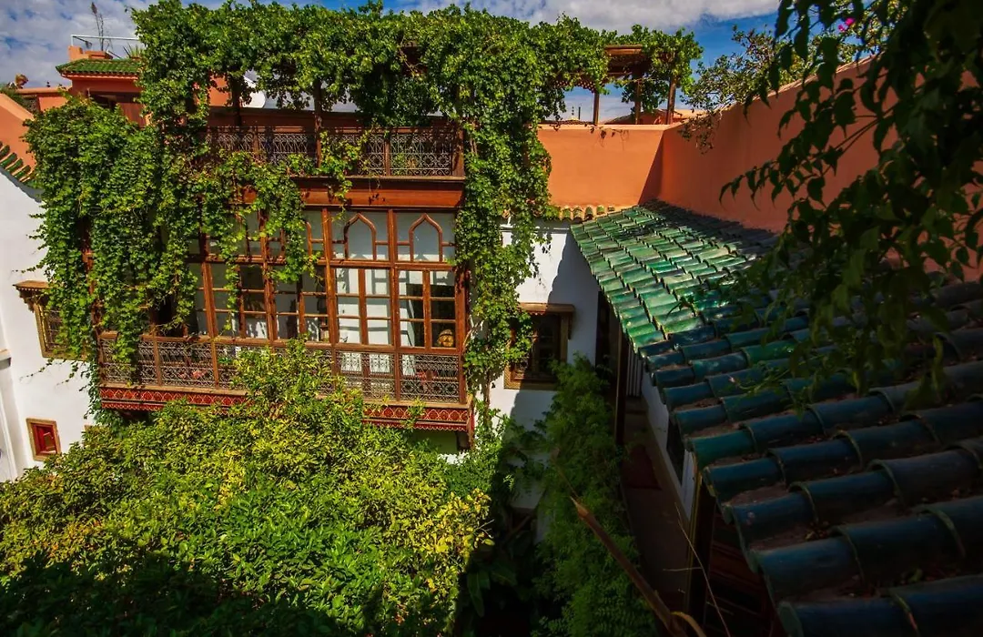 Riad Dombaraka-1
