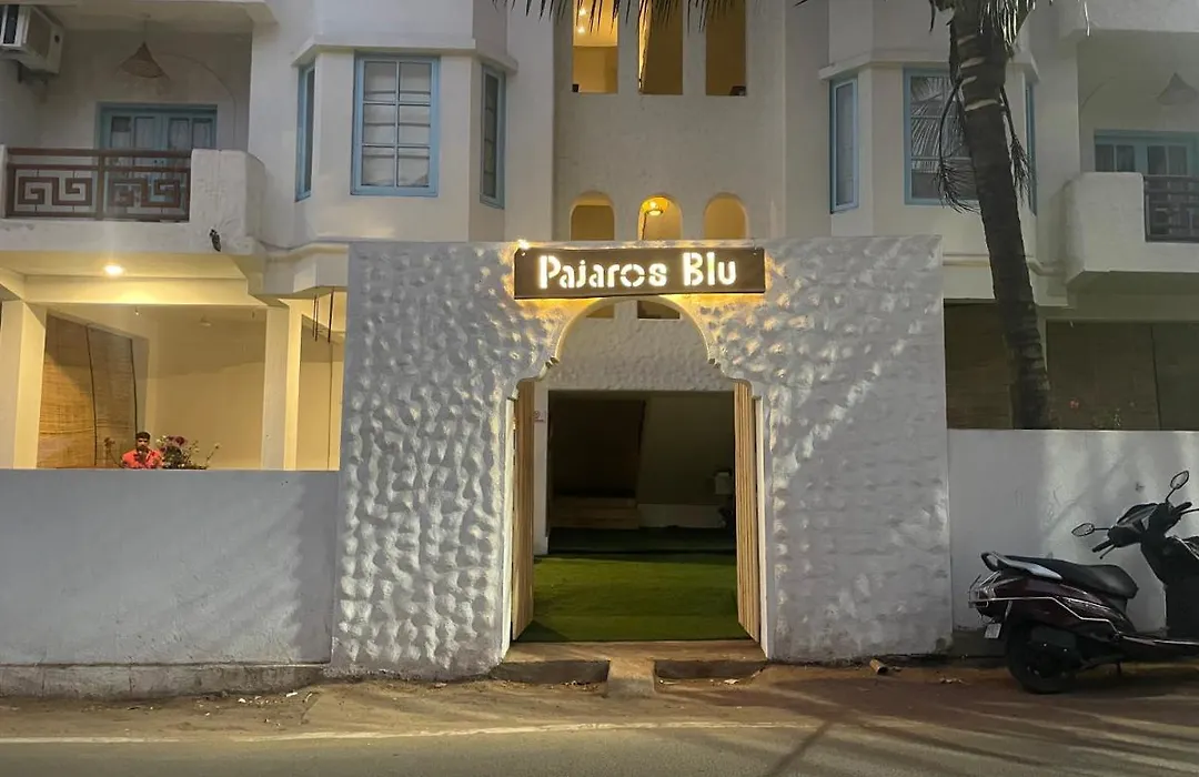 Pajaros Blu-1