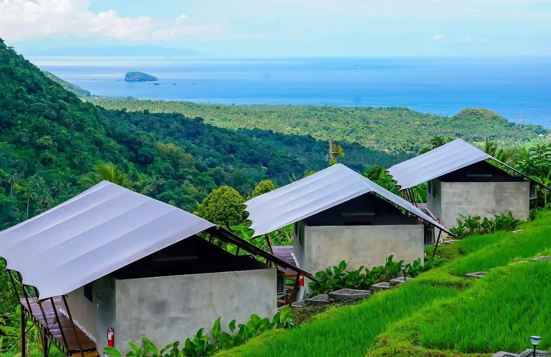 Kaura Bali-1