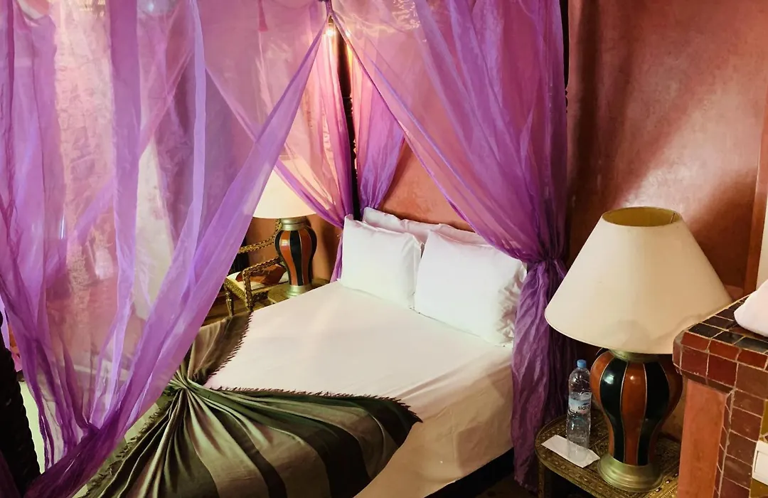 Riad Moullaoud-1