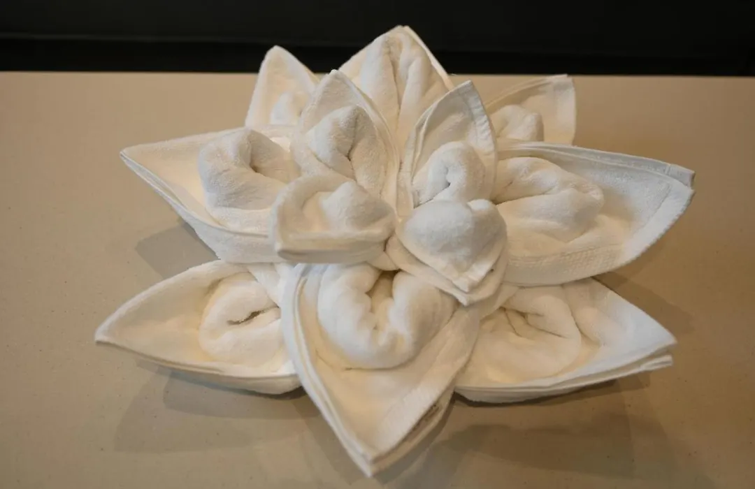 Hotel Apricia-1