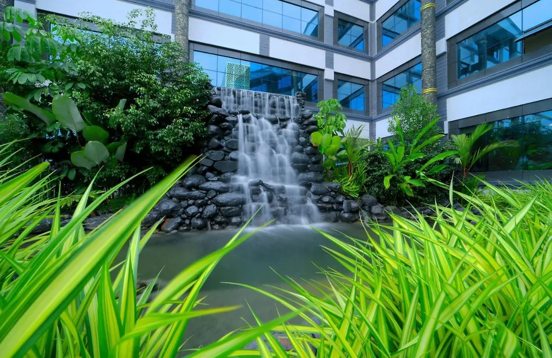 Vividus Sleek Cn Windsor, Chikmagaluru-1