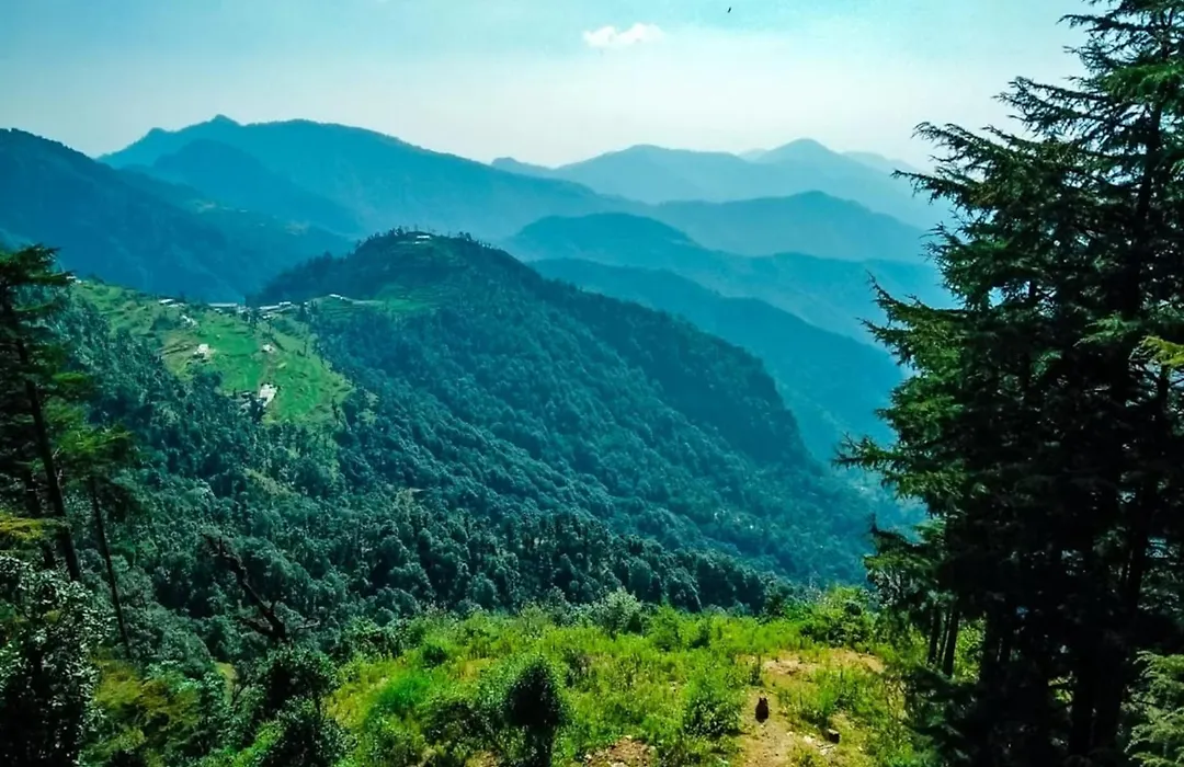 La Riqueza Dhanolti View - View Of Valleys & Mountains - Private Parking - Near To Eco Park & Surkanda Devi Temple-1