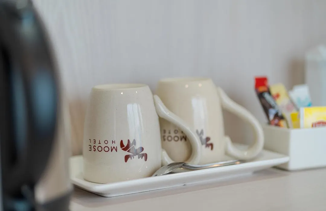 Moose Hotel Chiangmai-1