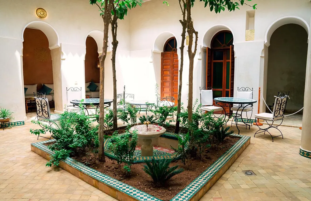 Riad Dar Zaouia-1