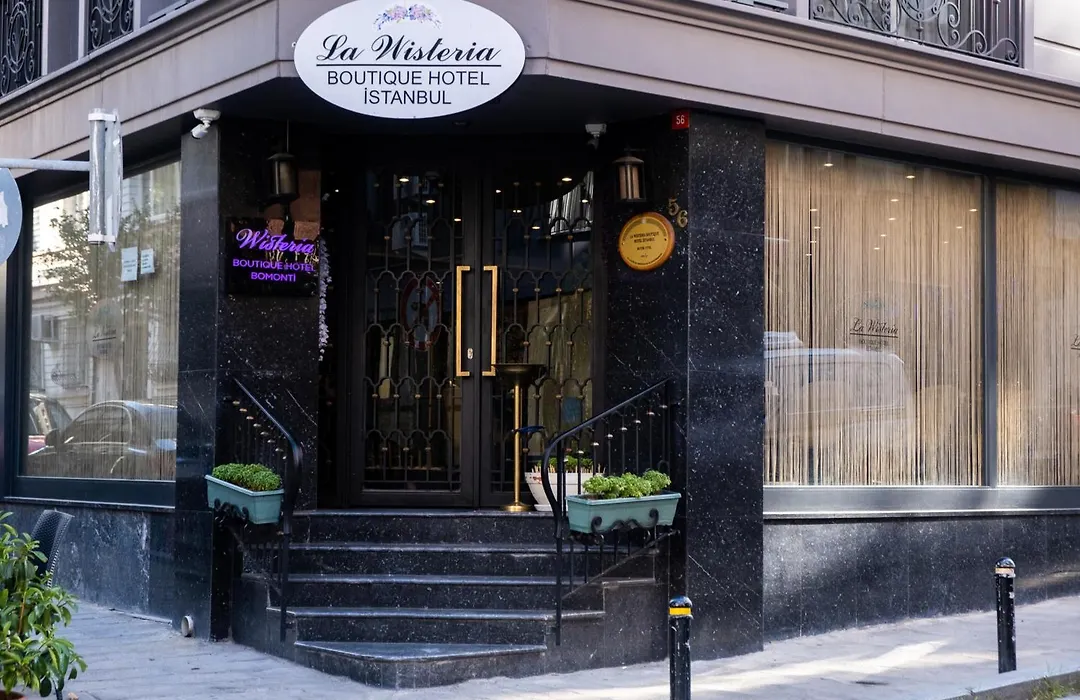 La Wisteria Boutique Hotel Istanbul-1