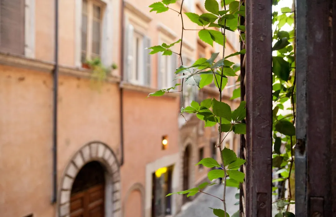 Baldassini Suites-1