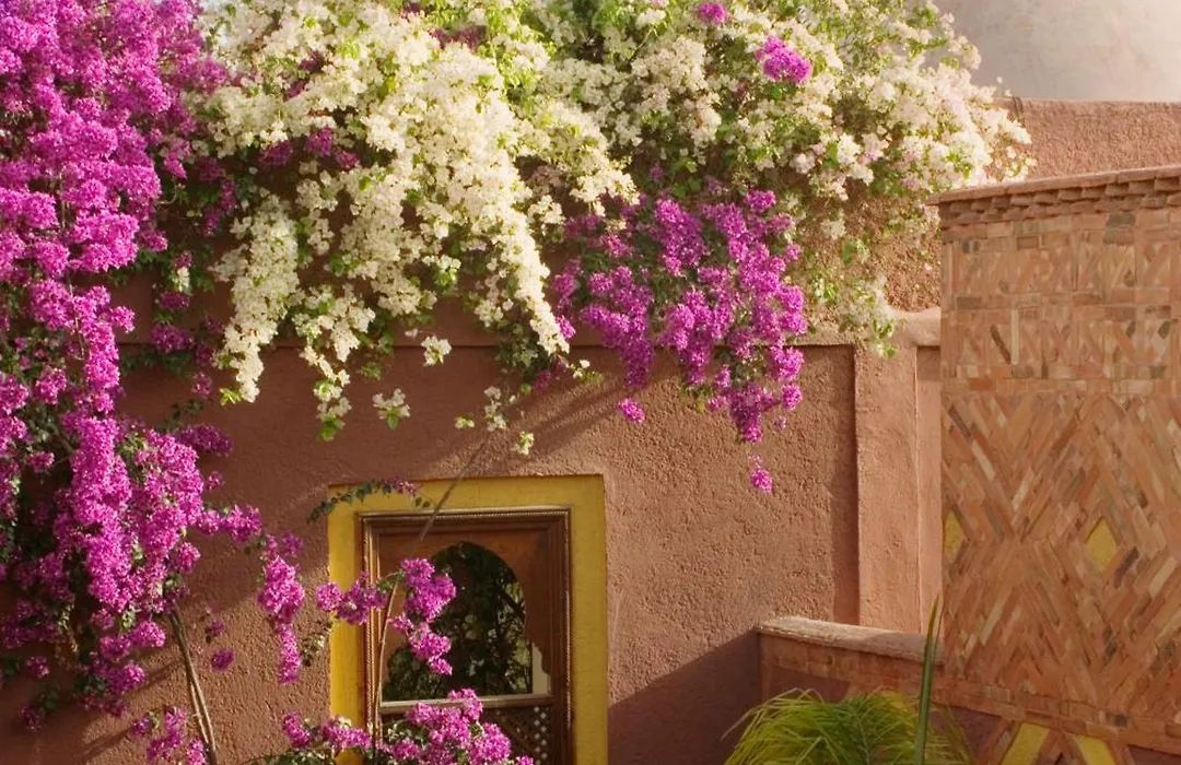 Riad Noga-1