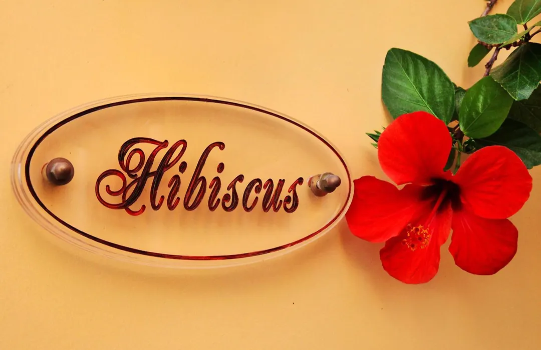 Rodos Niohori Elite Suites Boutique Hotel-1