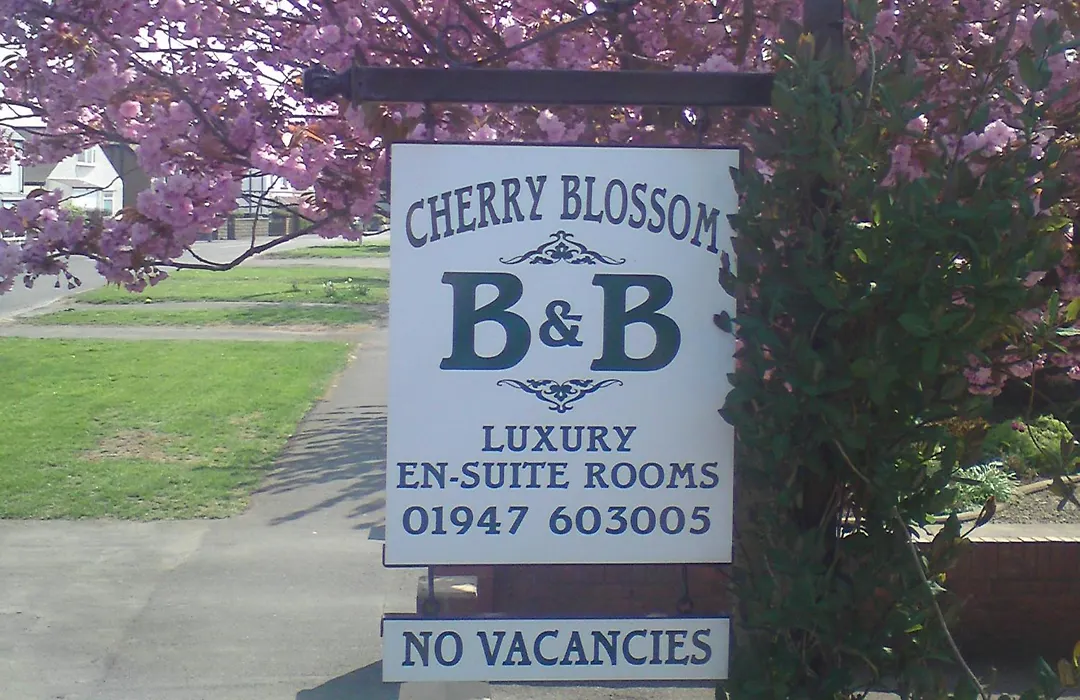 Cherry Blossom Guest House-1