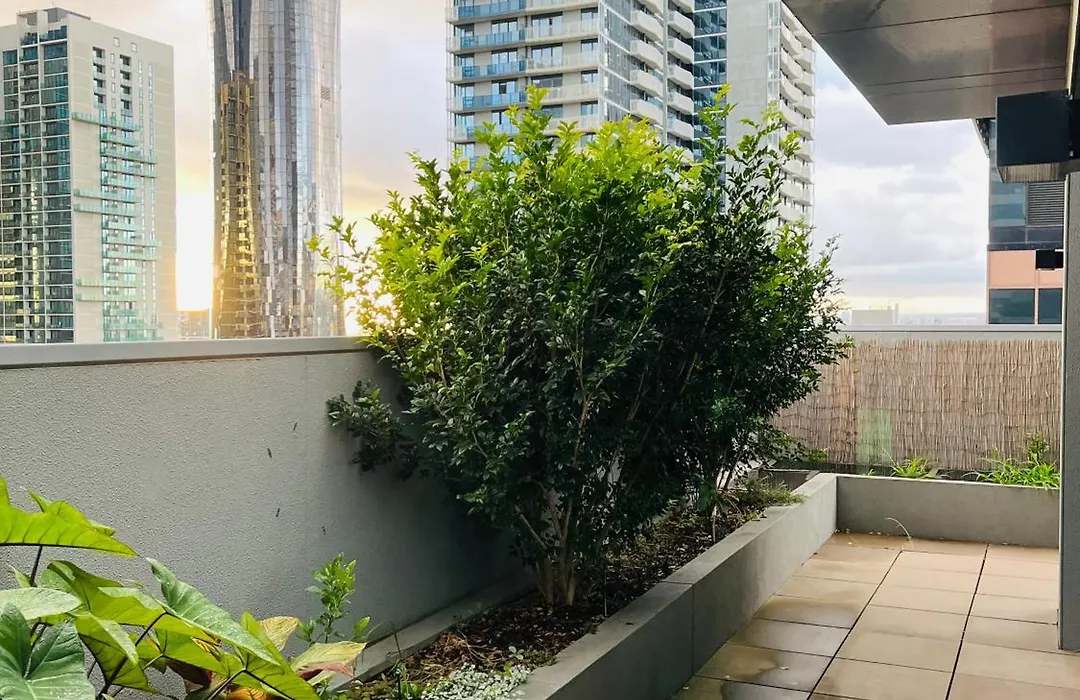 Wyndham Hotel Melbourne-1