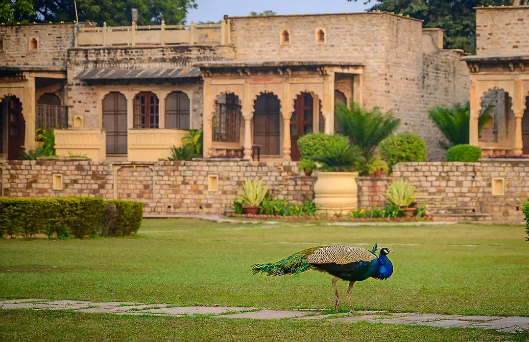 Neemrana'S - Deo Bagh-1