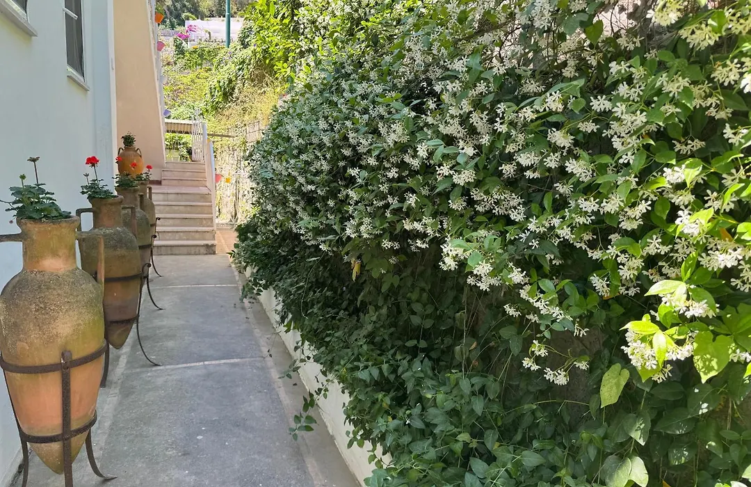 Villa Striano Boutique-1