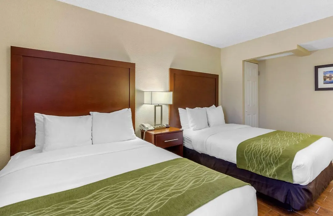 Comfort Inn St Petersburg North-1