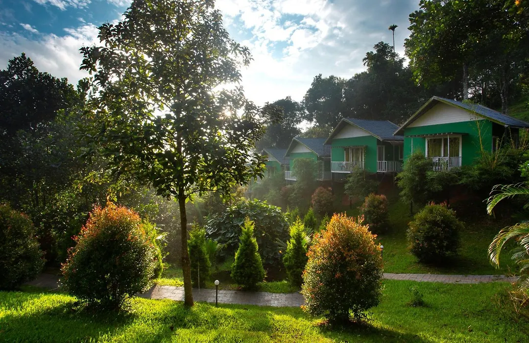 The Arbour Resort Munnar-1