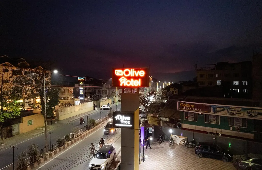 The Olive Hotel Srinagar-1