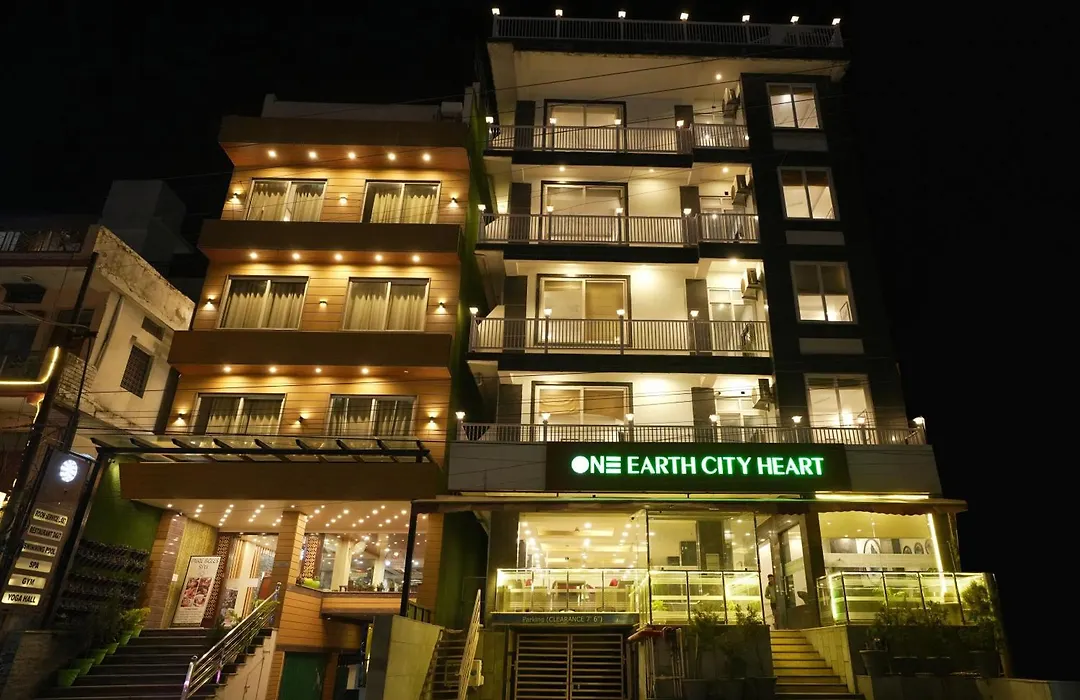 One Earth City Heart Rishikesh-1