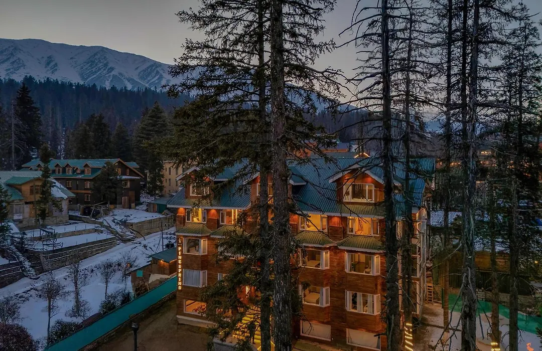 Hotel Pine Spring Gulmarg-1