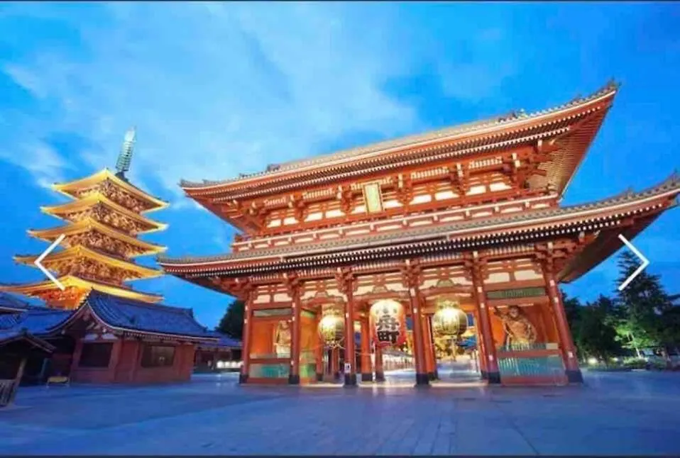 Momo Palace-1
