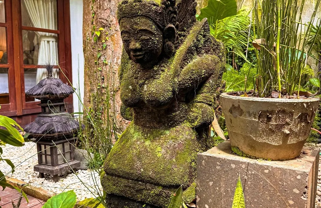 Bali Maison-1