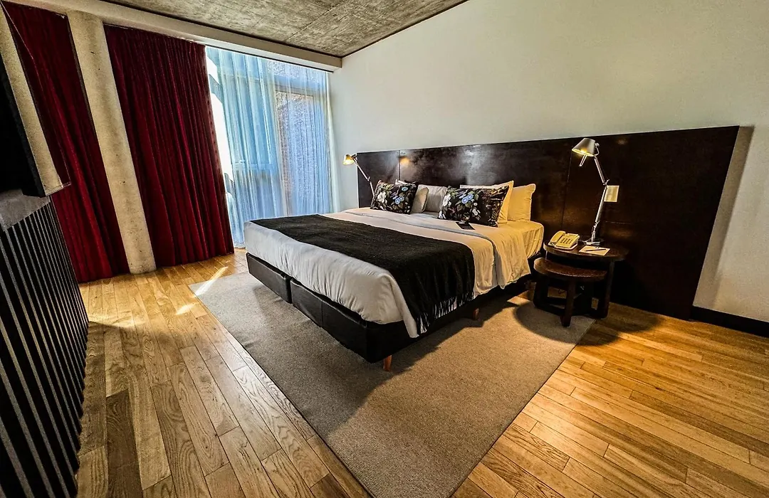 Anselmo Buenos Aires, Curio Collection By Hilton-1