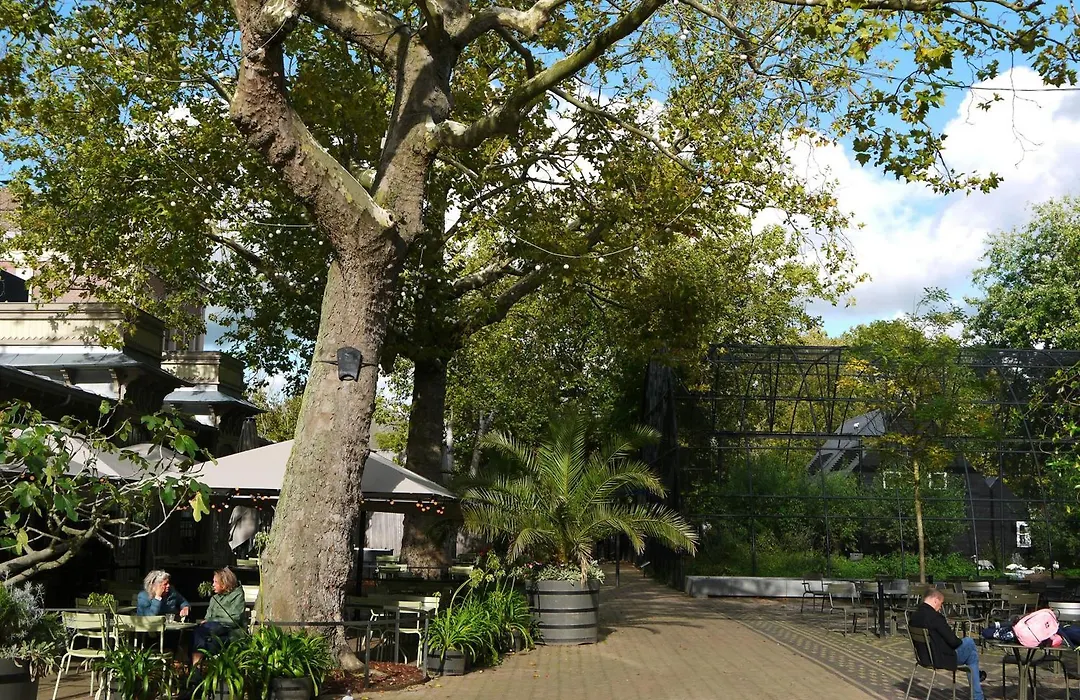 De Jonker Urban Suites-1