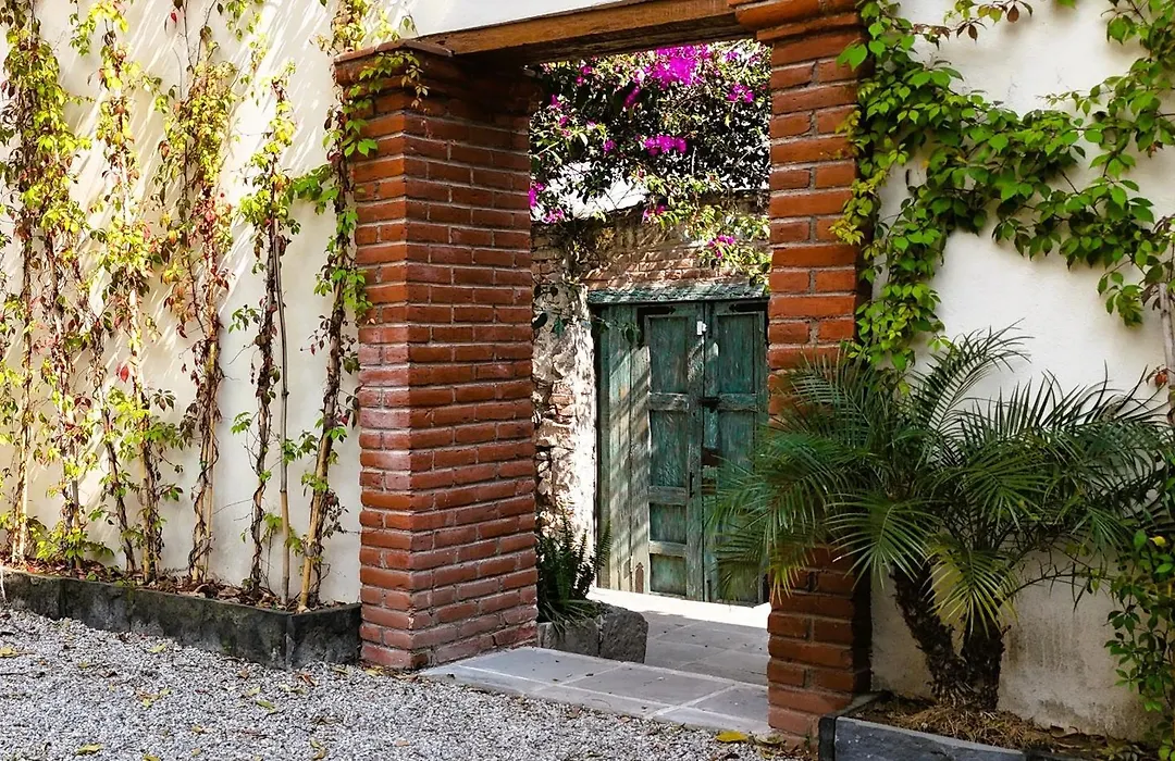 Orchid House Coyoacan-1
