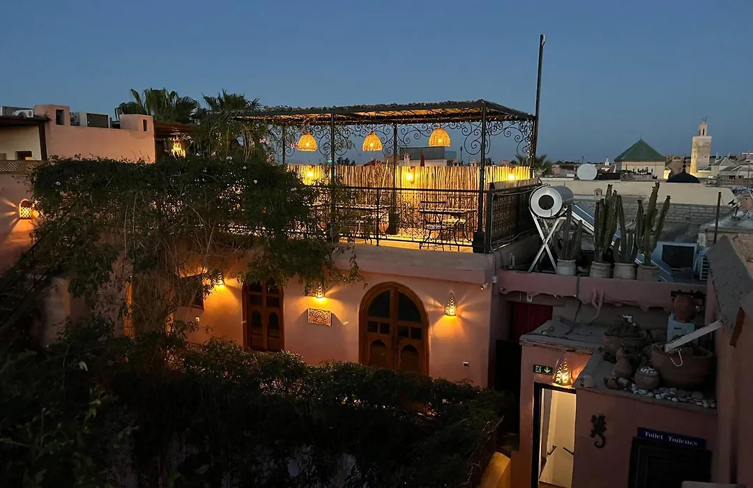 Riad Chameleon-1