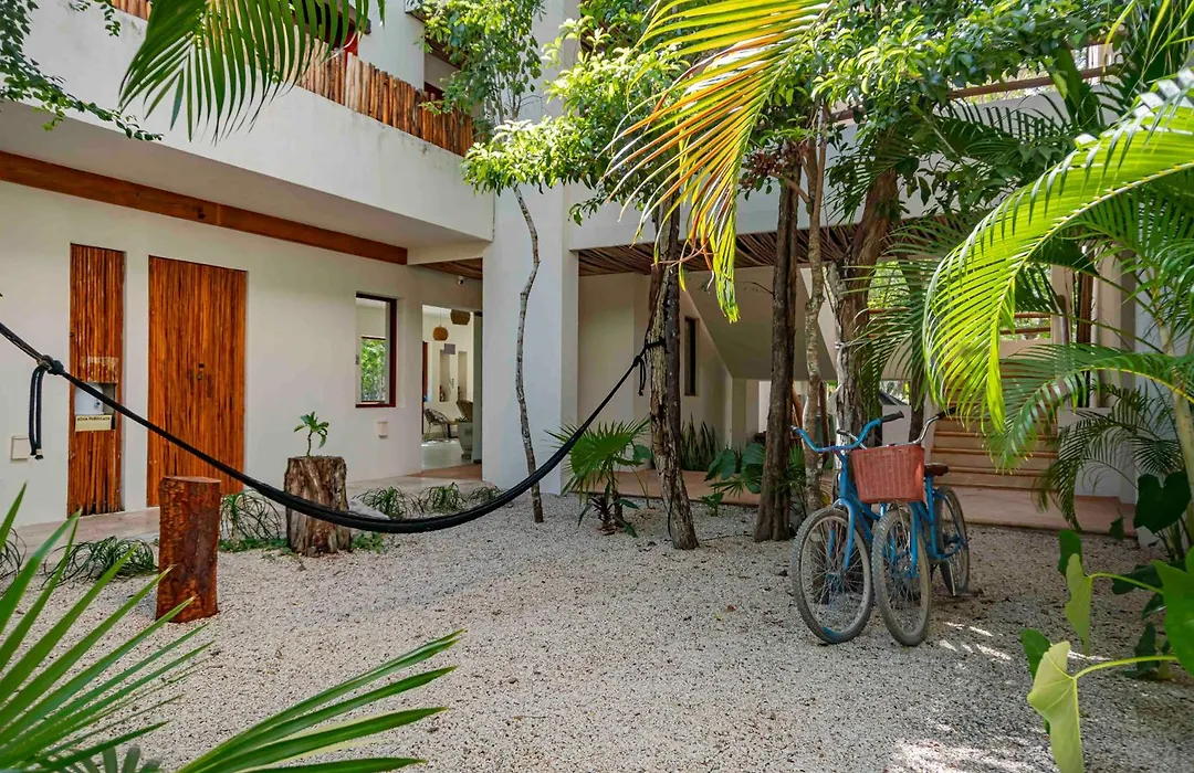 Niik Tulum-1