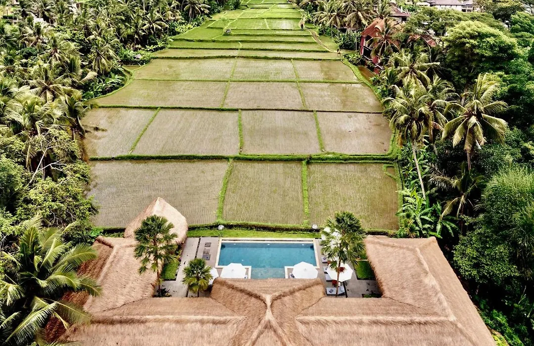 Villa Jepun-1