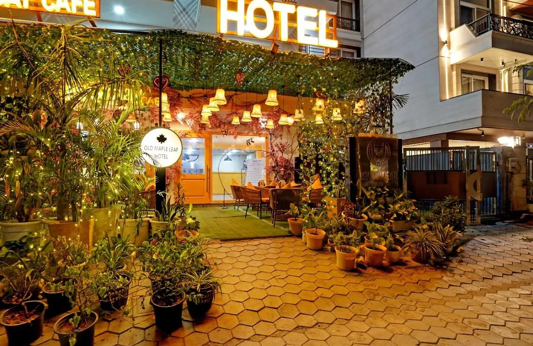 Hotel Sun Plaza-1