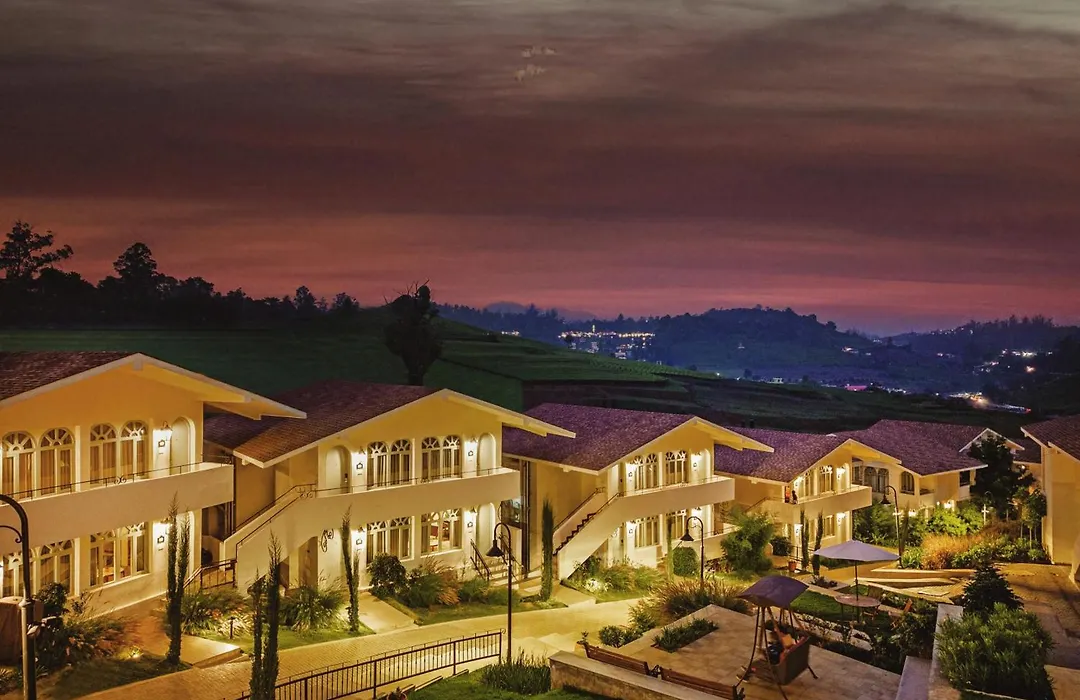 Mango Hill Shola Ooty-1