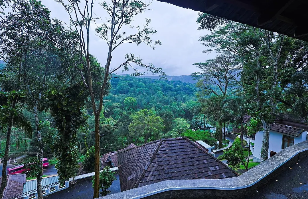 Forest Canopy Thekkady-1