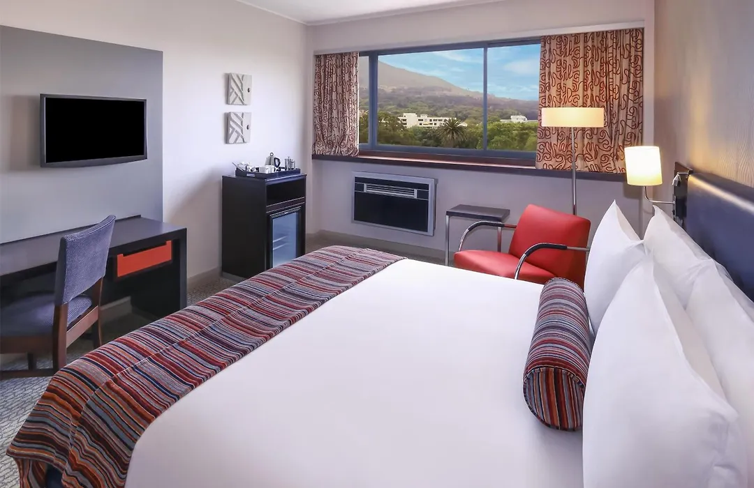 Southern Sun Newlands-1