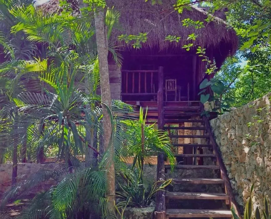 Casa Mango-1