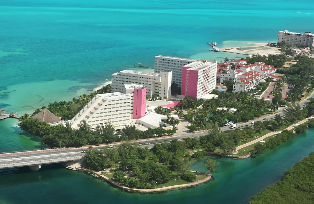 Oasis Palm-1