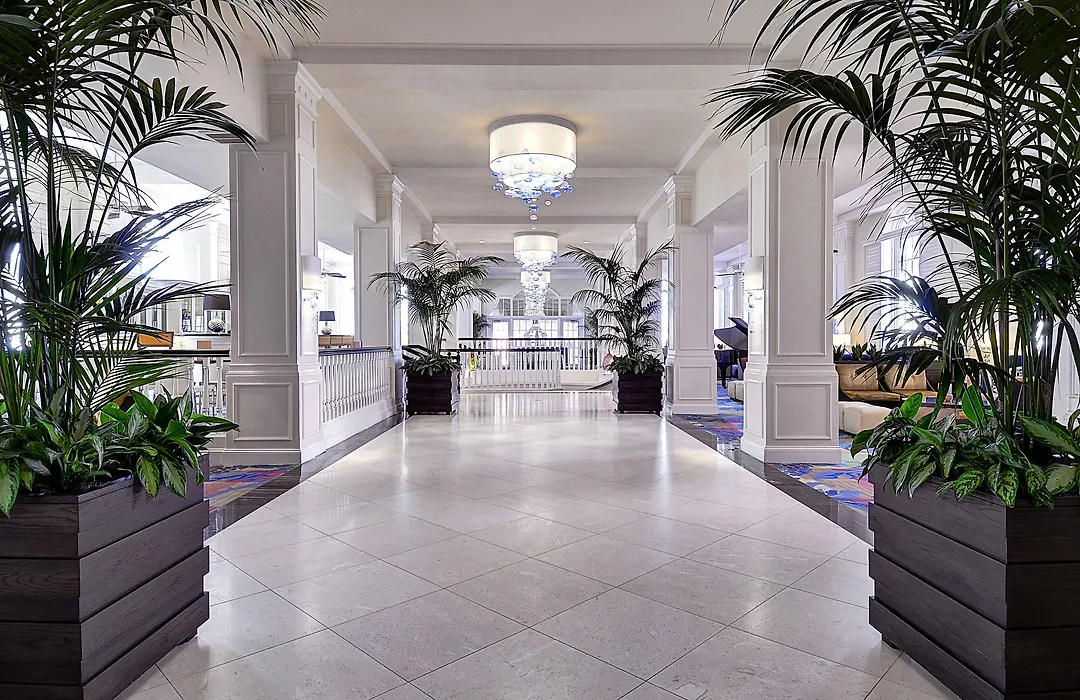 The Don Cesar-1